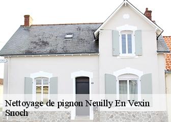 Nettoyage de pignon 95640