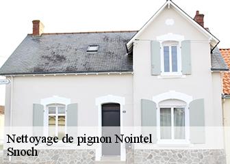 Nettoyage de pignon 95590