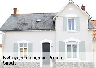 Nettoyage de pignon 95340