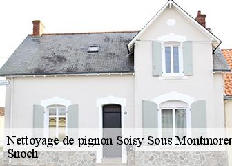Nettoyage de pignon 95230