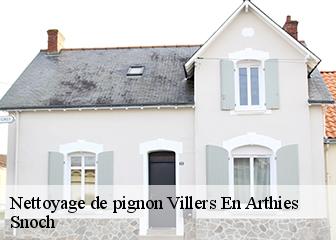 Nettoyage de pignon 95510