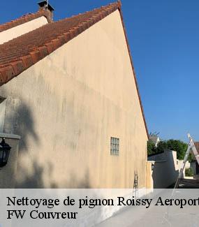 Nettoyage de pignon  roissy-aeroport-ch-de-gau-95700 FW Couvreur