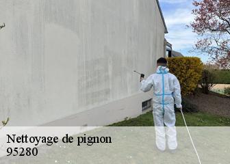 Nettoyage de pignon 95280