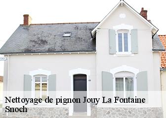 Nettoyage de pignon 95280