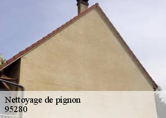 Nettoyage de pignon 95280