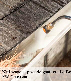 Nettoyage et pose de gouttière  le-bellay-en-vexin-95750 FW Couvreur
