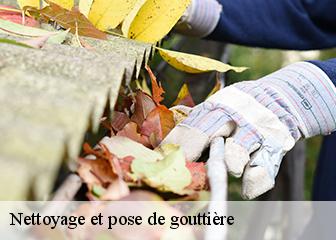 Nettoyage et pose de gouttière 95430