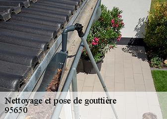 Nettoyage et pose de gouttière 95650