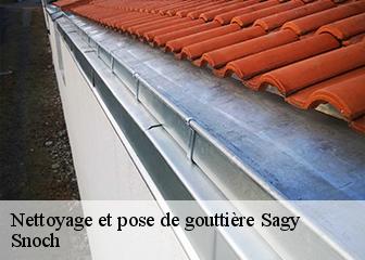 Nettoyage et pose de gouttière 95450