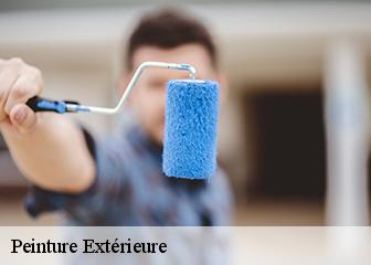 Peinture Extérieure 95810