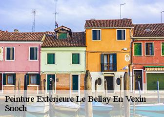 Peinture Extérieure 95750