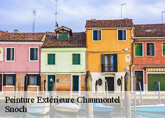 Peinture Extérieure 95270