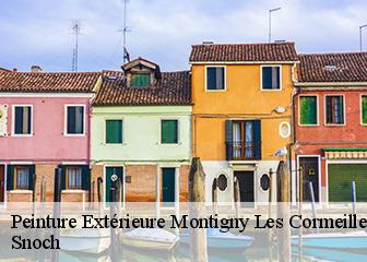 Peinture Extérieure 95370