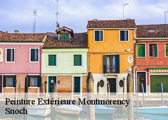 Peinture Extérieure  95160