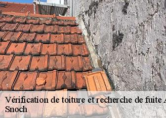 Vérification de toiture et recherche de fuite 95810