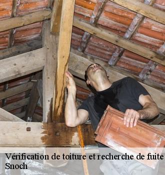 Vérification de toiture et recherche de fuite le-plessis-luzarches-95270 Snoch