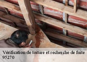 Vérification de toiture et recherche de fuite 95270