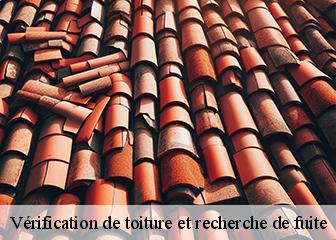 Vérification de toiture et recherche de fuite 95270