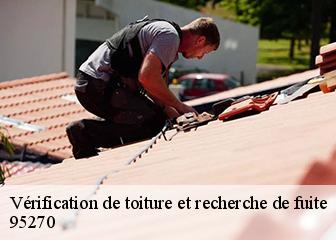 Vérification de toiture et recherche de fuite 95270