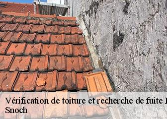 Vérification de toiture et recherche de fuite 95590