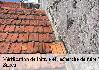 Vérification de toiture et recherche de fuite 95280